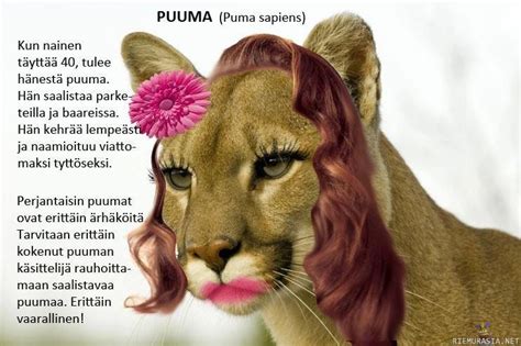 puuma nainen|Testaa, oletko puuma! 